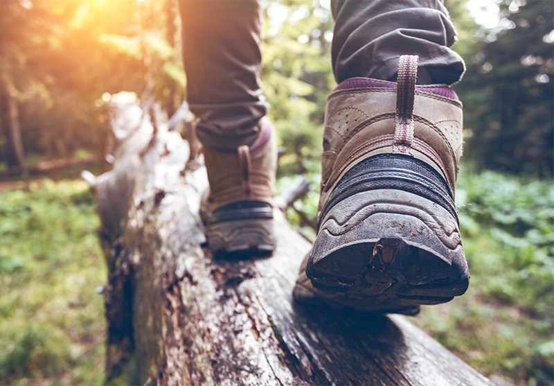 Hiker on a log