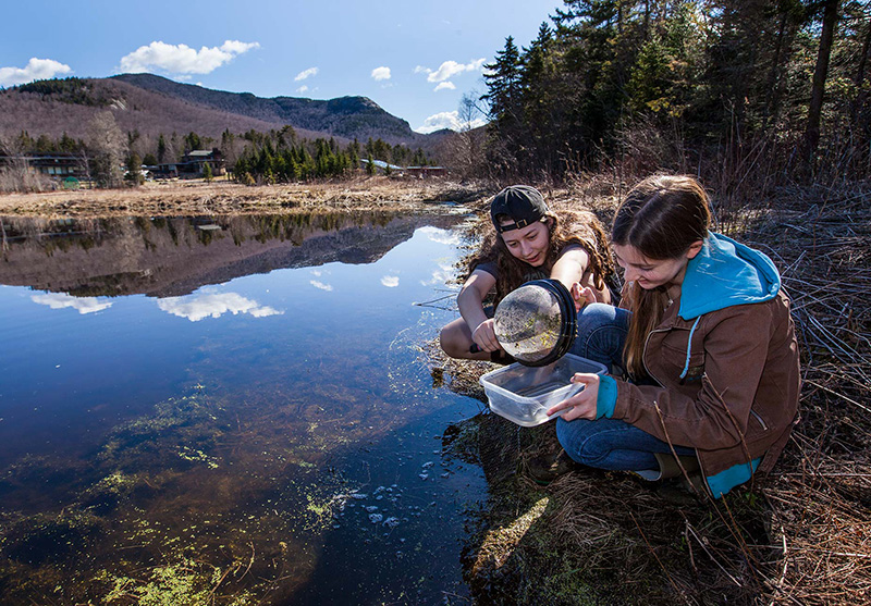 Students doing field work